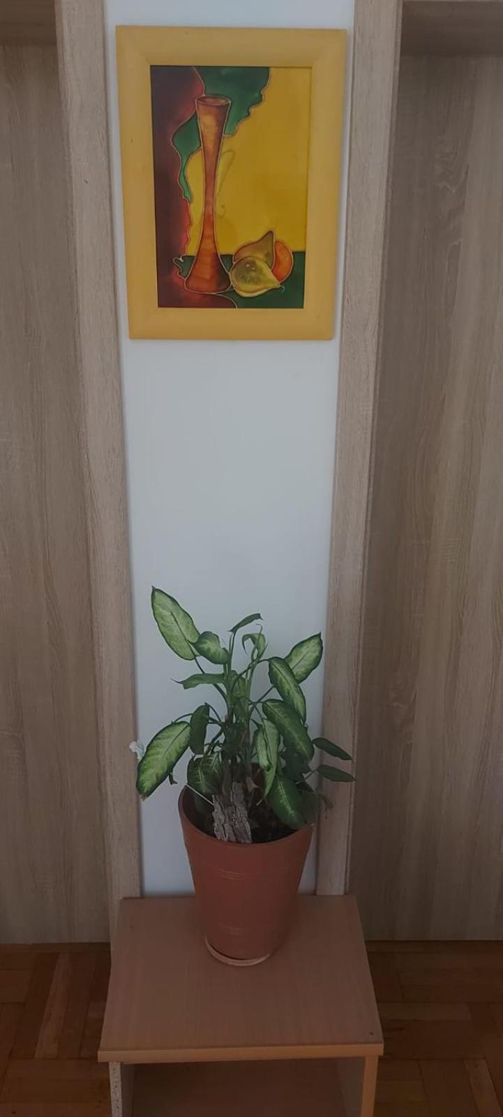 Hostel Πόζναν Εξωτερικό φωτογραφία